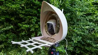 Don't Buy the Peckperk Smart Bird Feeder Camera Until You Read This Full Analysis